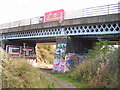 A38 bridge (with local tribal art)