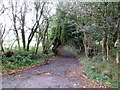 Prescoch Lane heads towards Cwmynyscoy Road, Pontypool