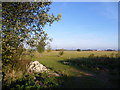 Looking across Romney Marsh from the A259