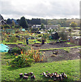 Allotments off Woodhatch Road