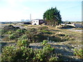 Shack at Dungeness