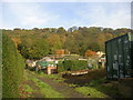 Allotments - Thompson Lane