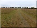 Field in the planned Heartwood Forest