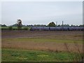 TL1511 : Train between Harpenden and St Alban's by David Smith