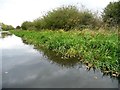 No mooring along this towpath