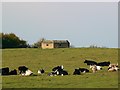 Pillbox near Pry Holding, Purton, Wiltshire