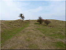 SO7639 : Shire Ditch running south on Hangman's Hill by Richard Law