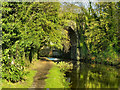 Peak Forest Canal. Woodley