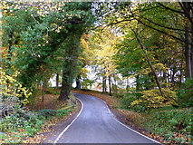 NH5762 : Minor road by Lemlair by sylvia duckworth