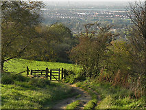 SJ9693 : Werneth Low Country Park by David Dixon