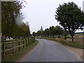 The road to Butley & Hollesley