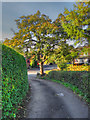 Abels Lane, Uppermill