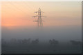 SK5034 : Horses and a pylon and a misty sunrise by David Lally