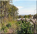 View from Mills Hill Station