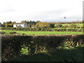 Farmhouse with wind generator south of Redbridge Road