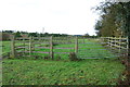 Cattle Crush in Field near the A518