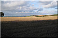 Stubble field north of Wadstray House 