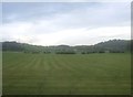 Farmland, Upsall Carrs