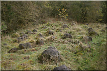 SK3954 : Anthills near Oakerthorpe by Alan Murray-Rust