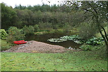 NN1784 : Small Pond near Top Lock, Gairlochy by Peter Bond