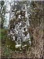 Middlehope Hill trig, close up