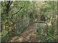 Footbridge over the Afon Cynffig in woodland just north of Kenfig Hill