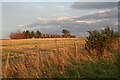 NH9352 : Stubble Field by Anne Burgess