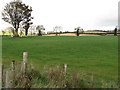 Farmland north-west of the New Line