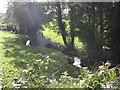 Meandering stream viewed from the New Line road