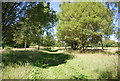 Footpath across Broke Hill Golf Course