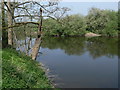 River Severn near Knowlesands