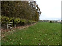 SO4988 : Footpath and a stile into Newhall Coppice by Richard Law