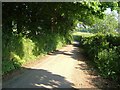 Lane at Meacombe Farm