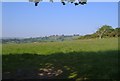 Pasture near Cleave Wood