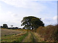 Footpath to the B1124 Beccles Road