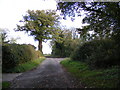 Road to the A145 London Road & Church Farm Bungalow