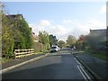 Welburn Avenue - viewed from Northolme Avenue