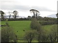 View south across the valley of the headwaters of the Clanrye River