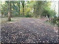 Bridleway and footpath junction in Mill Hanger