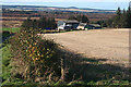 Looking towards Peterden