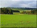 Farmland, Hartforth