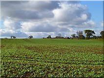 NZ1709 : Farmland, Carkin by Andrew Smith