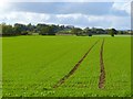 Farmland, Carkin