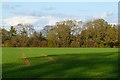 Farmland and woodland, Melsonby