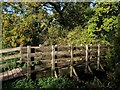 Footbridge, Hackney Marshes