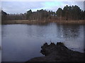 Black Pond, Esher Common