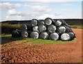 Hay bales, in Autumn sun, near Stapling Lane