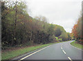 A470 approaching Llanidloes at Berth-lywd Coppice