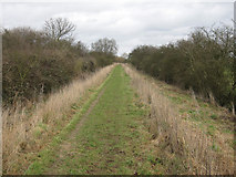 TL3571 : Ouse Valley Way by Hugh Venables