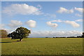 Blue skies over Heath Hill